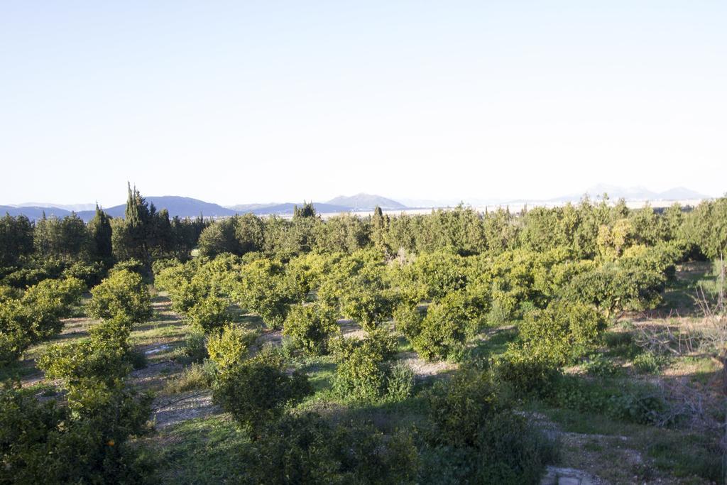 Mon Boutique Hotel Pollença Kültér fotó